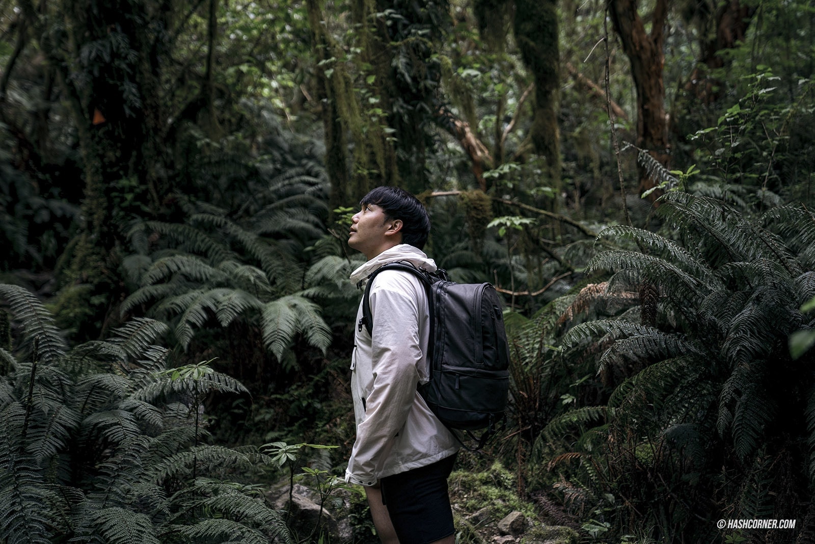 รีวิว ฟยอร์ดแลนด์-มิลฟอร์ดซาวด์ (Fiordland-Milford Sound) x นิวซีแลนด์ เกาะใต้