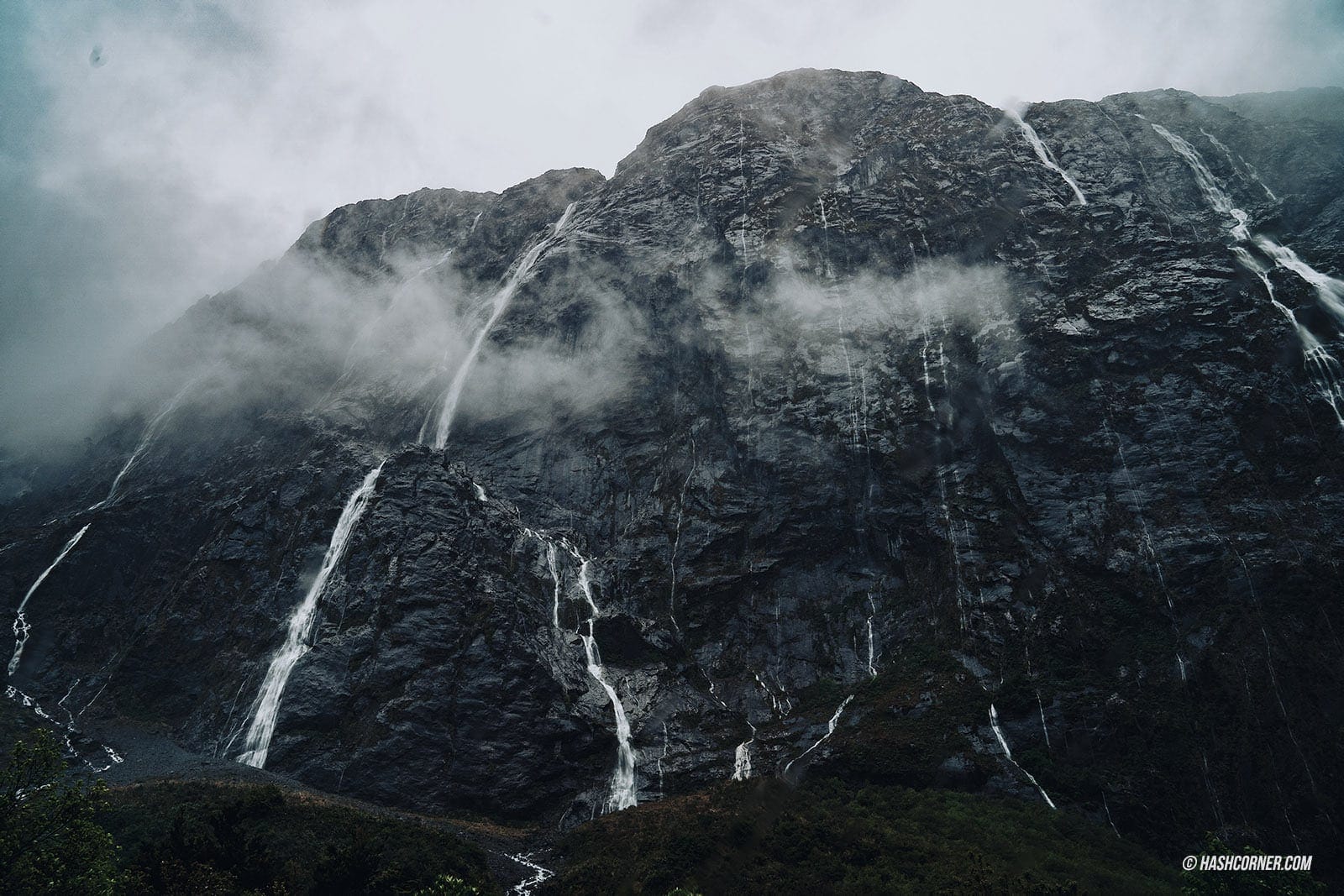 รีวิว ฟยอร์ดแลนด์-มิลฟอร์ดซาวด์ (Fiordland-Milford Sound) x นิวซีแลนด์ เกาะใต้