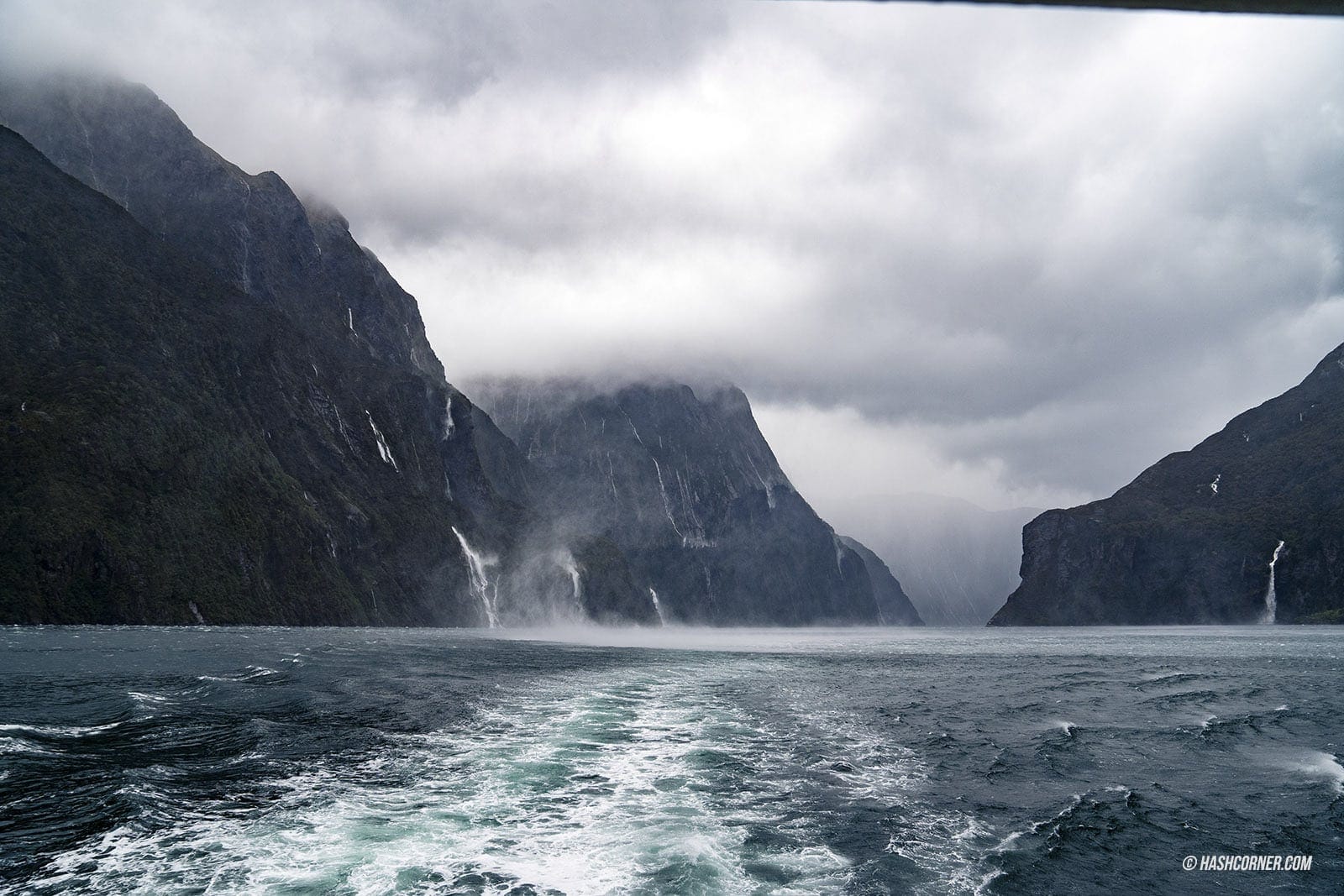 รีวิว ฟยอร์ดแลนด์-มิลฟอร์ดซาวด์ (Fiordland-Milford Sound) x นิวซีแลนด์ เกาะใต้