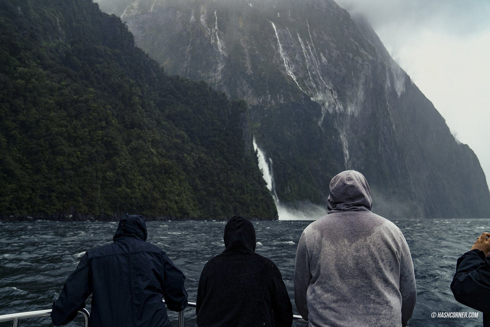 รีวิว ฟยอร์ดแลนด์-มิลฟอร์ดซาวด์ (Fiordland-Milford Sound) x นิวซีแลนด์ เกาะใต้