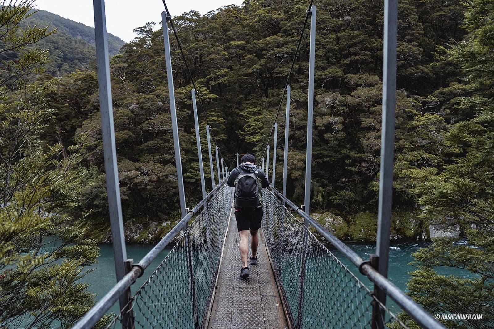 รีวิว วานากา (Wanaka) x เที่ยวเกาะใต้ นิวซีแลนด์