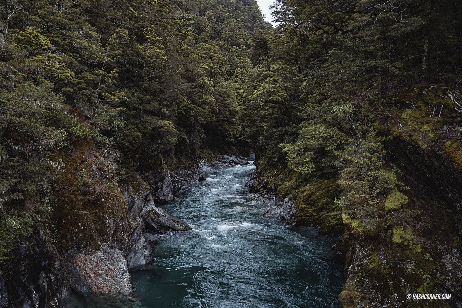 รีวิว วานากา (Wanaka) x เที่ยวเกาะใต้ นิวซีแลนด์