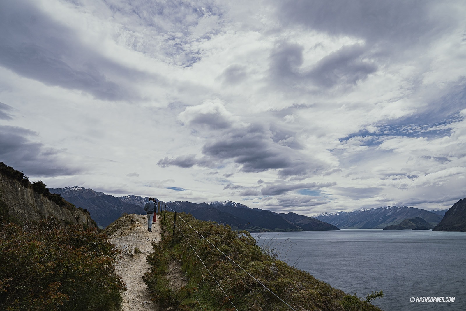 รีวิว วานากา (Wanaka) x เที่ยวเกาะใต้ นิวซีแลนด์