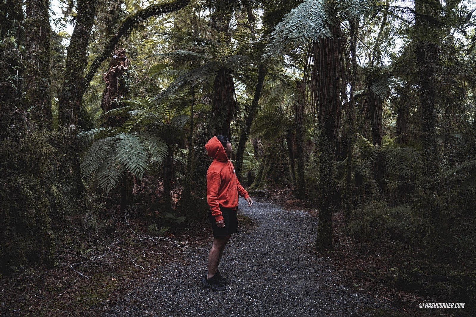 รีวิว วานากา (Wanaka) x เที่ยวเกาะใต้ นิวซีแลนด์