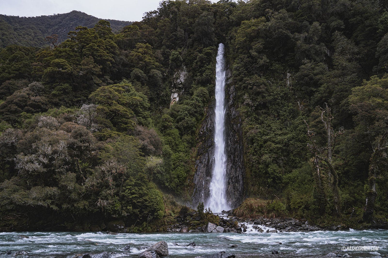รีวิว วานากา (Wanaka) x เที่ยวเกาะใต้ นิวซีแลนด์