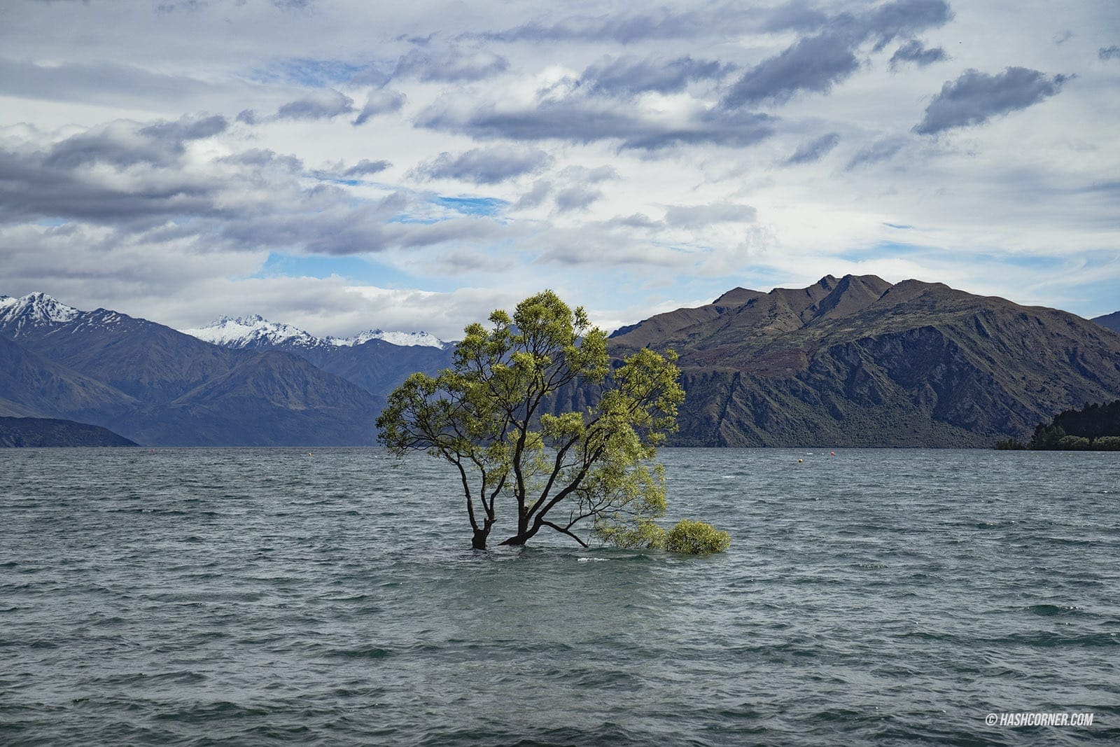 รีวิว วานากา (Wanaka) x เที่ยวเกาะใต้ นิวซีแลนด์