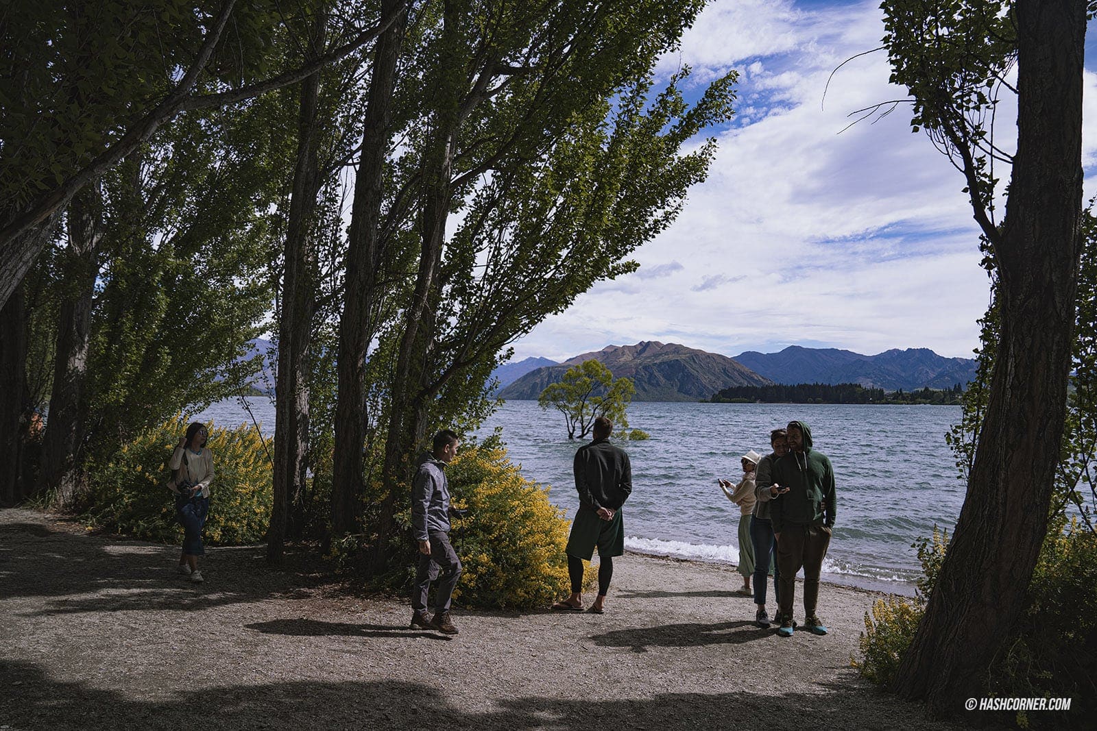 รีวิว วานากา (Wanaka) x เที่ยวเกาะใต้ นิวซีแลนด์