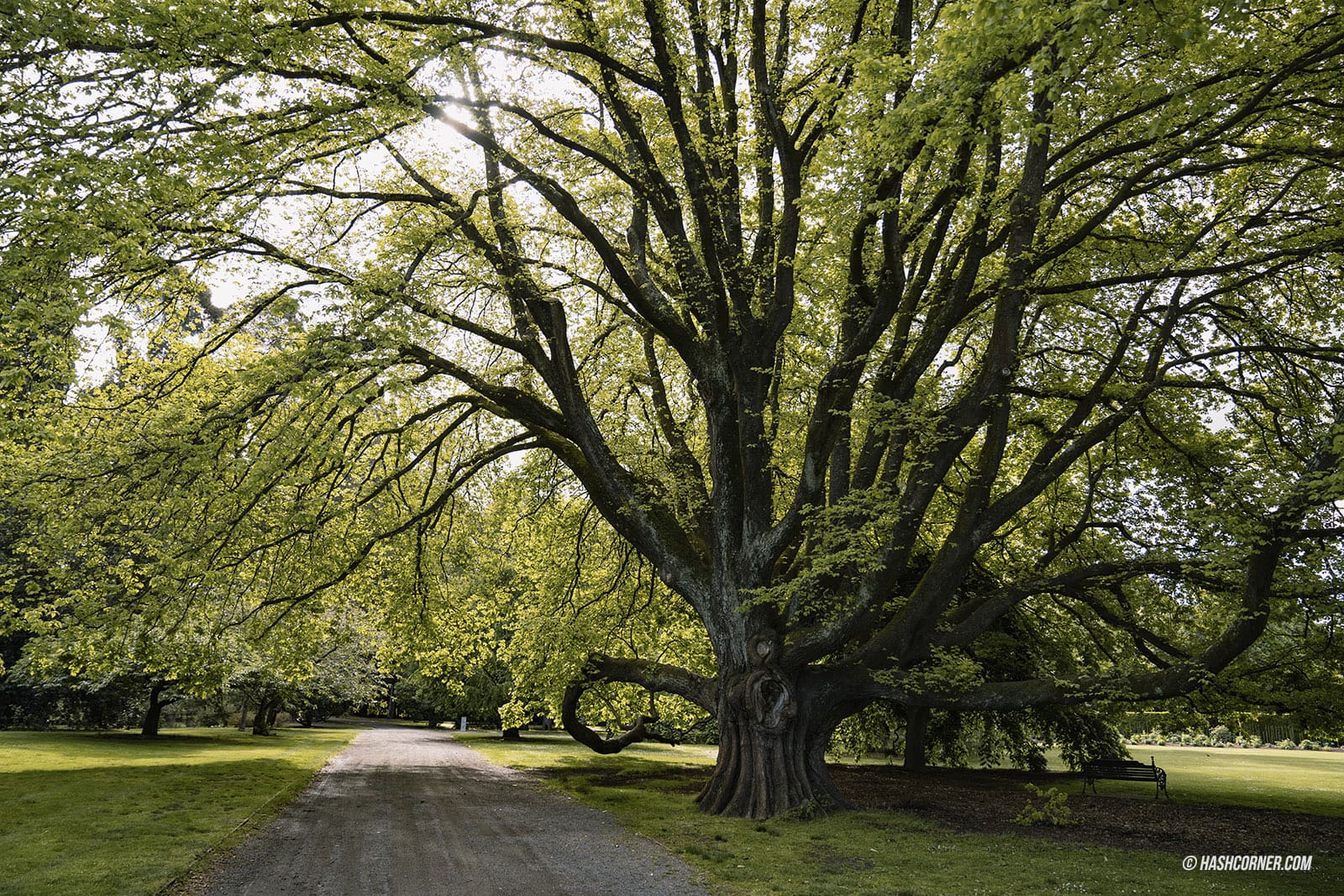 รีวิว ไครสต์เชิร์ช (Christchurch) x นิวซีแลนด์ เกาะใต้