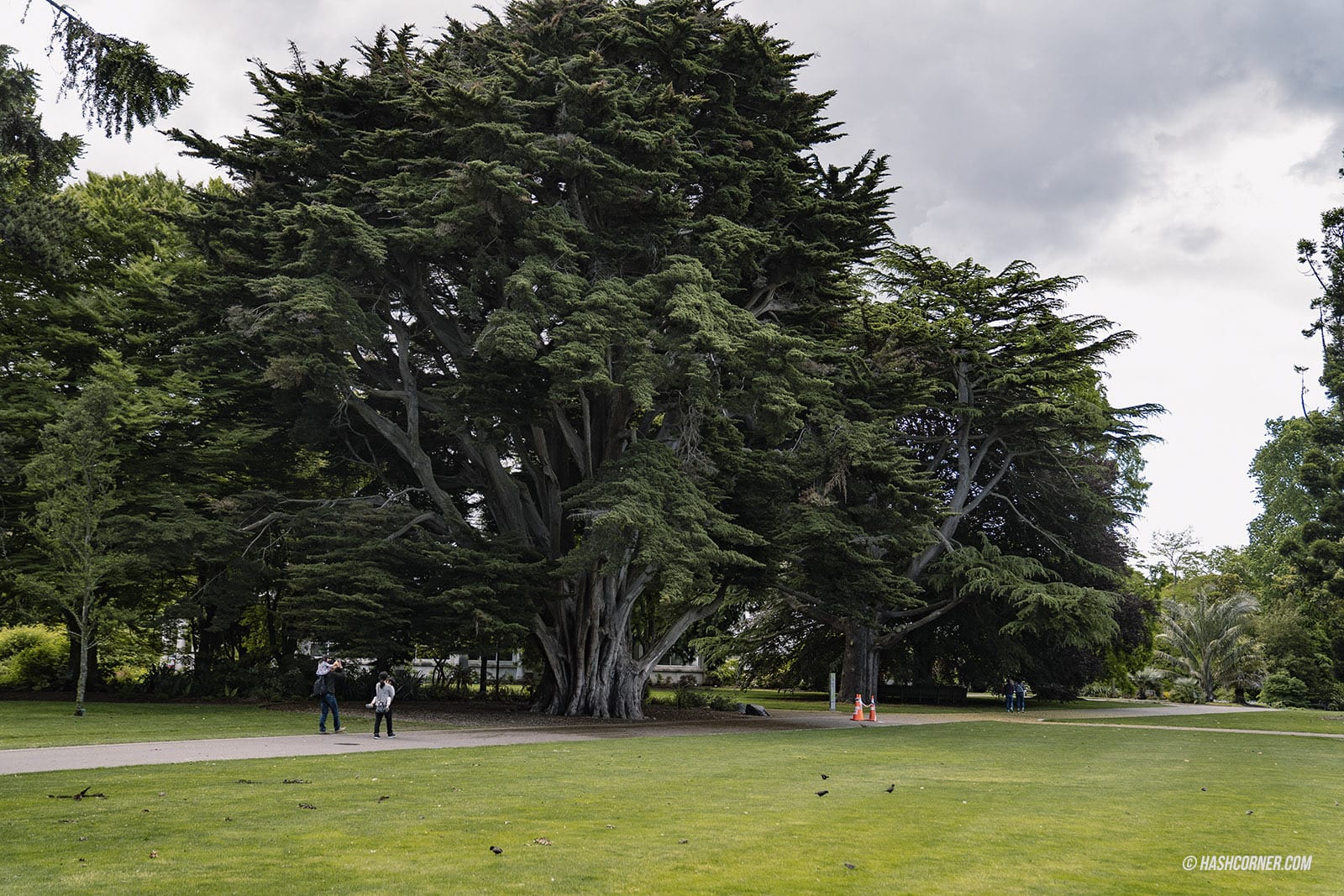 รีวิว ไครสต์เชิร์ช (Christchurch) x นิวซีแลนด์ เกาะใต้