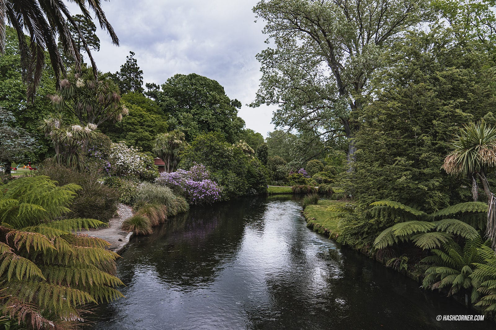 รีวิว ไครสต์เชิร์ช (Christchurch) x นิวซีแลนด์ เกาะใต้