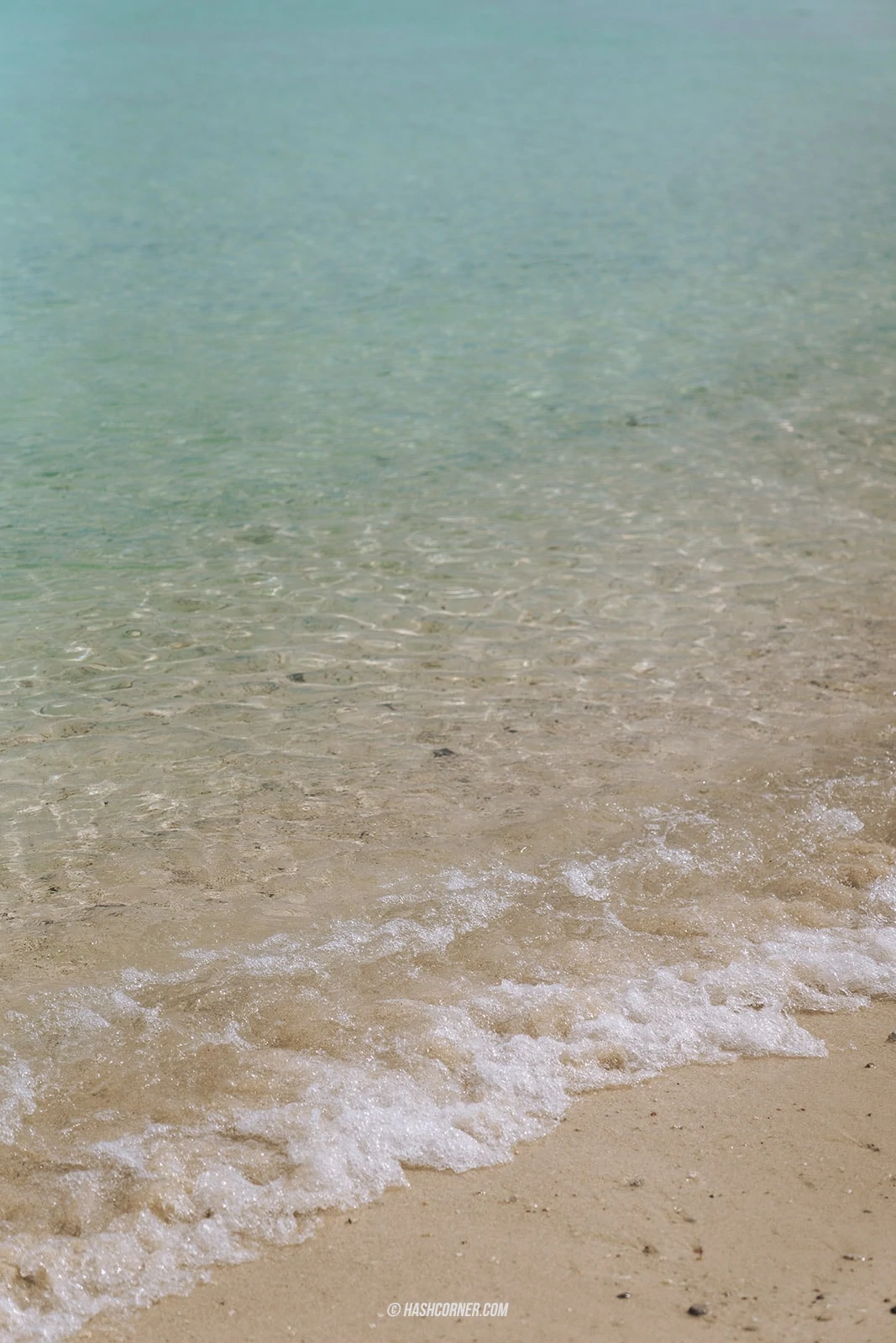รีวิว เกาะล้าน x พัทยา รวมที่เที่ยวชายหาด-คาเฟ่ สุดปัง!