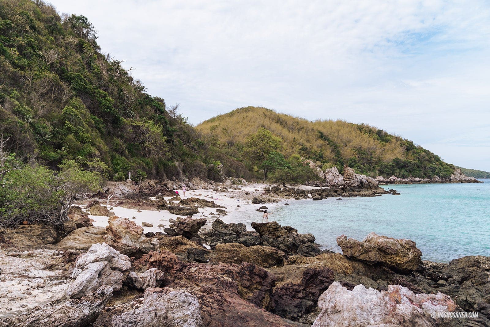 รีวิว เกาะล้าน x พัทยา รวมที่เที่ยวชายหาด-คาเฟ่ สุดปัง!