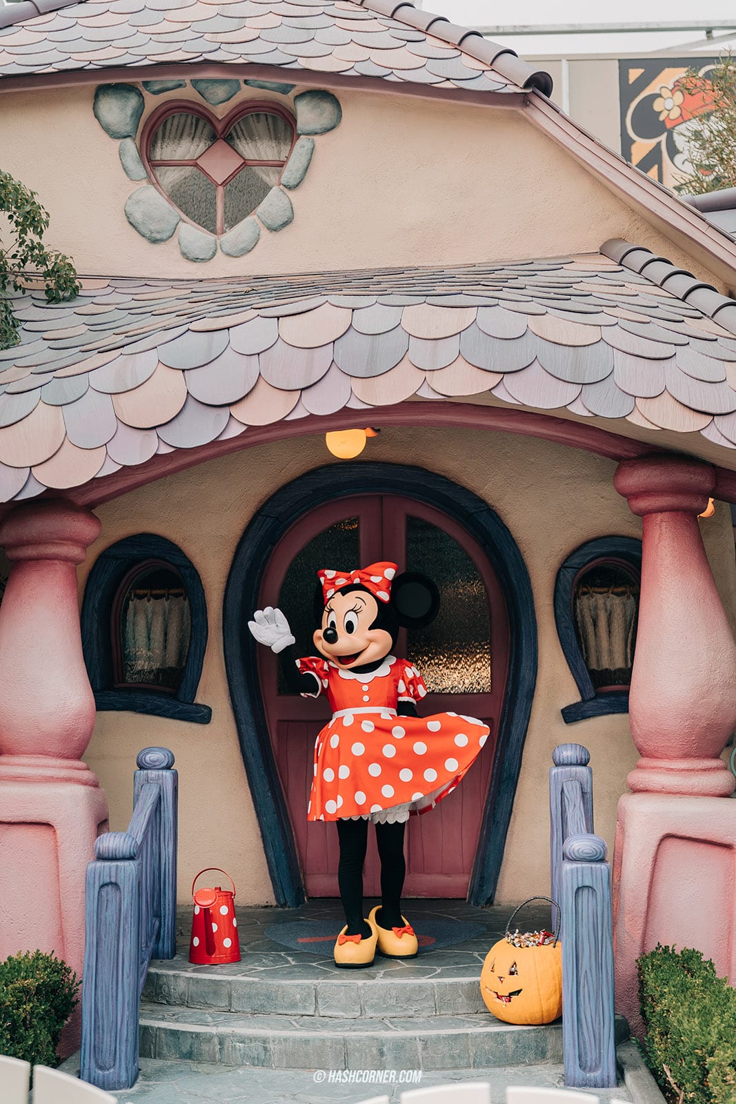 รีวิว Disneyland Park x แคลิฟอร์เนีย (California) เล่นหนักจัดเต็ม!