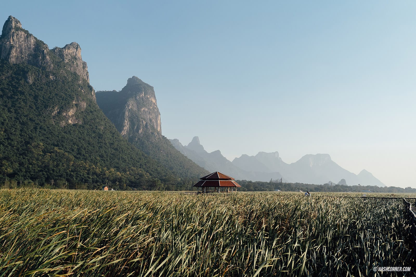 รีวิว อุทยานแห่งชาติเขาสามร้อยยอด x ประจวบคีรีขันธ์ สวยอย่าบอกใคร!