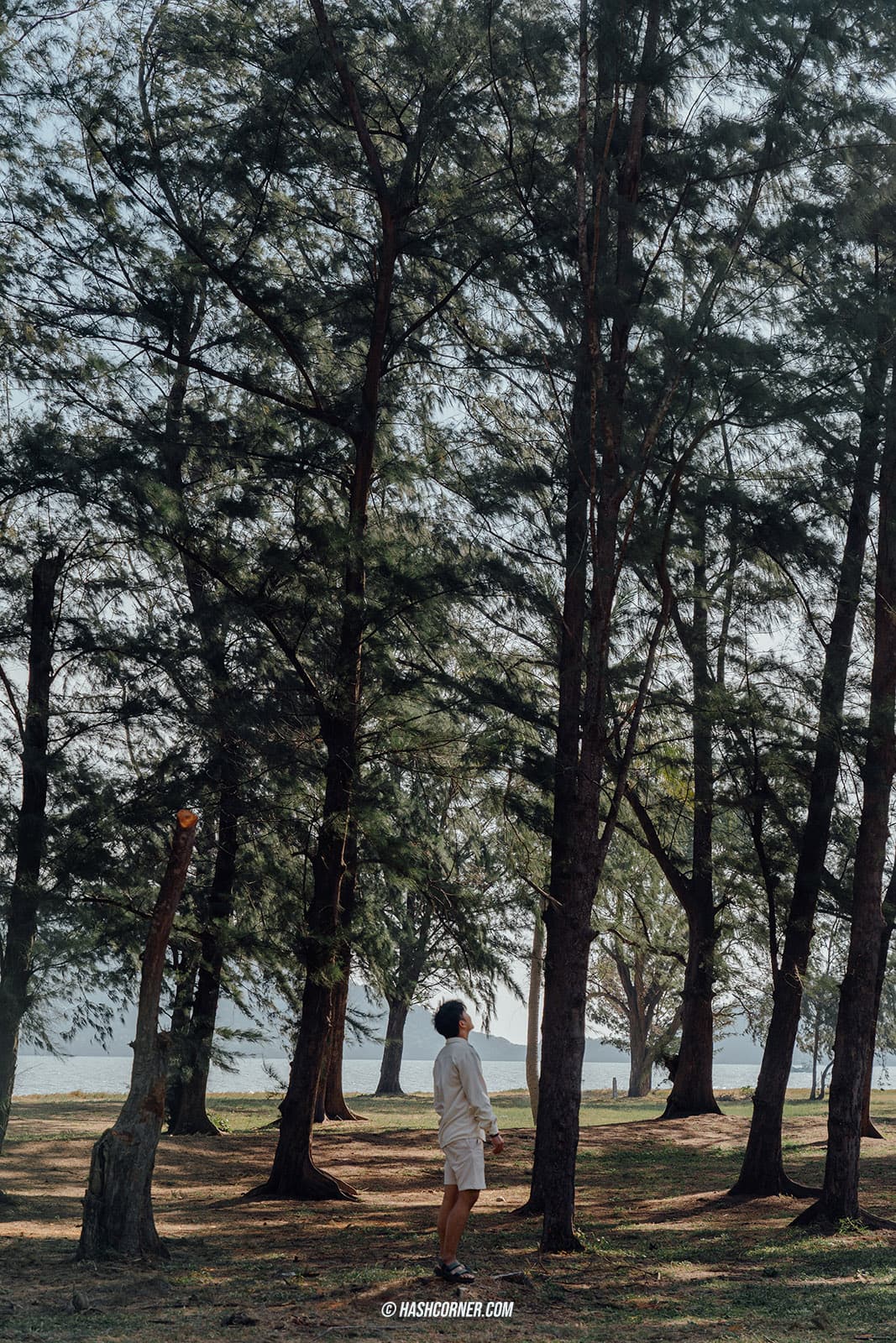 รีวิว อุทยานแห่งชาติเขาสามร้อยยอด x ประจวบคีรีขันธ์ สวยอย่าบอกใคร!