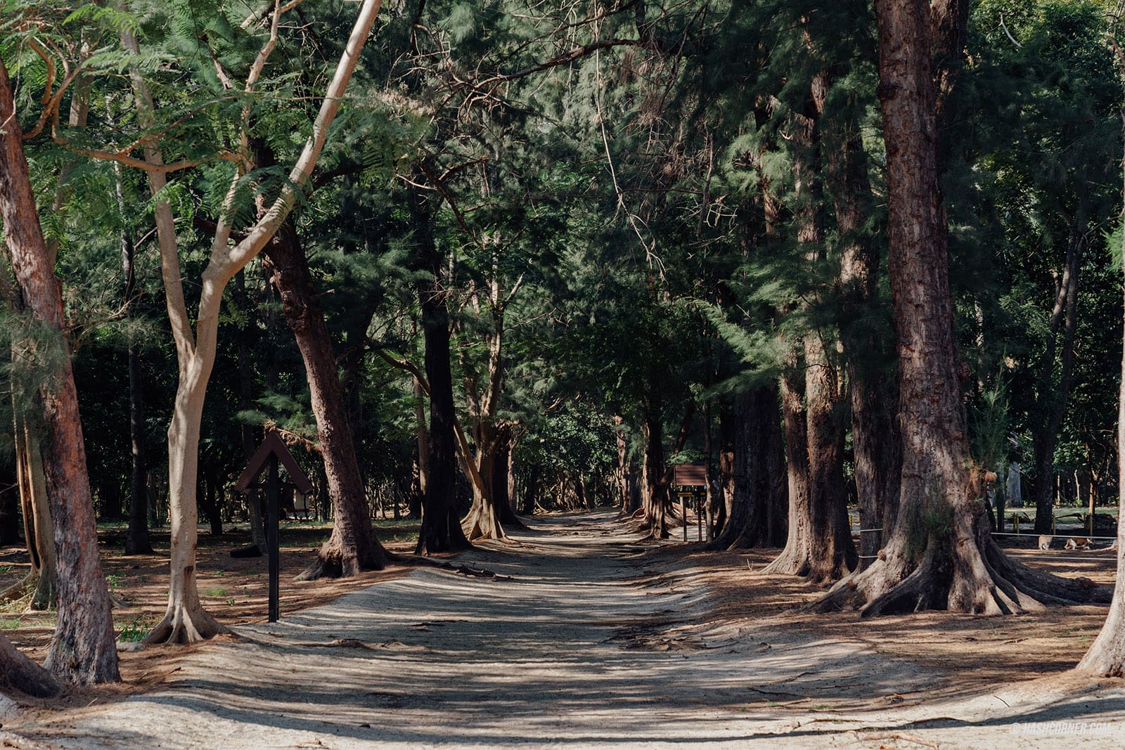 รีวิว อุทยานแห่งชาติเขาสามร้อยยอด x ประจวบคีรีขันธ์ สวยอย่าบอกใคร!