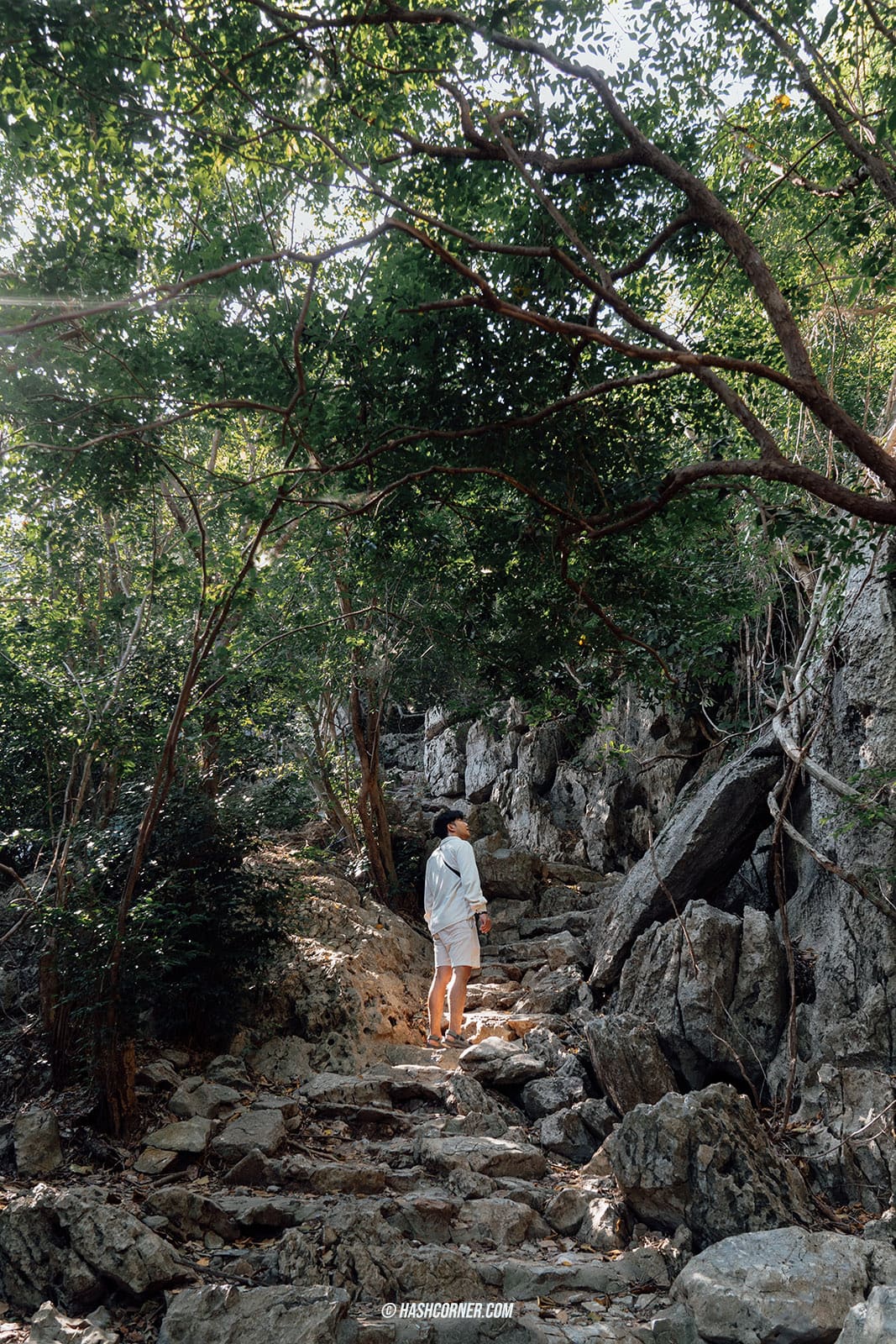 รีวิว อุทยานแห่งชาติเขาสามร้อยยอด x ประจวบคีรีขันธ์ สวยอย่าบอกใคร!