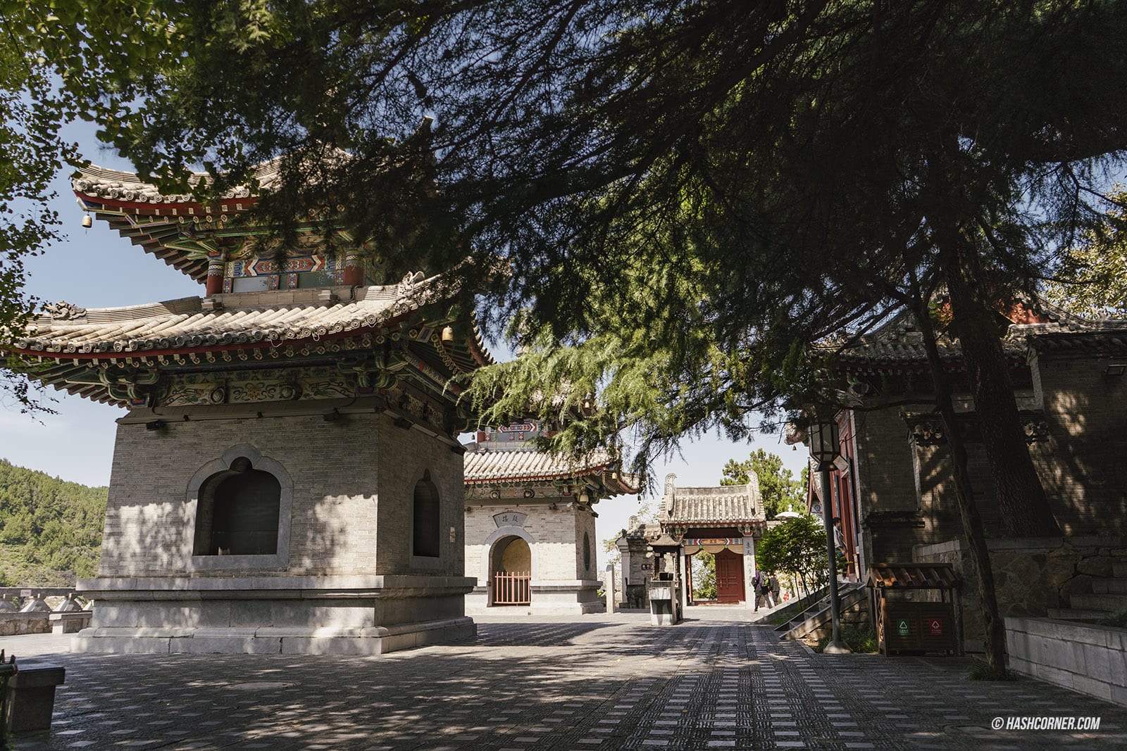 รีวิว ลั่วหยาง (Louyang) x จีน เที่ยวถ้ำหลงเหมินอลังๆ