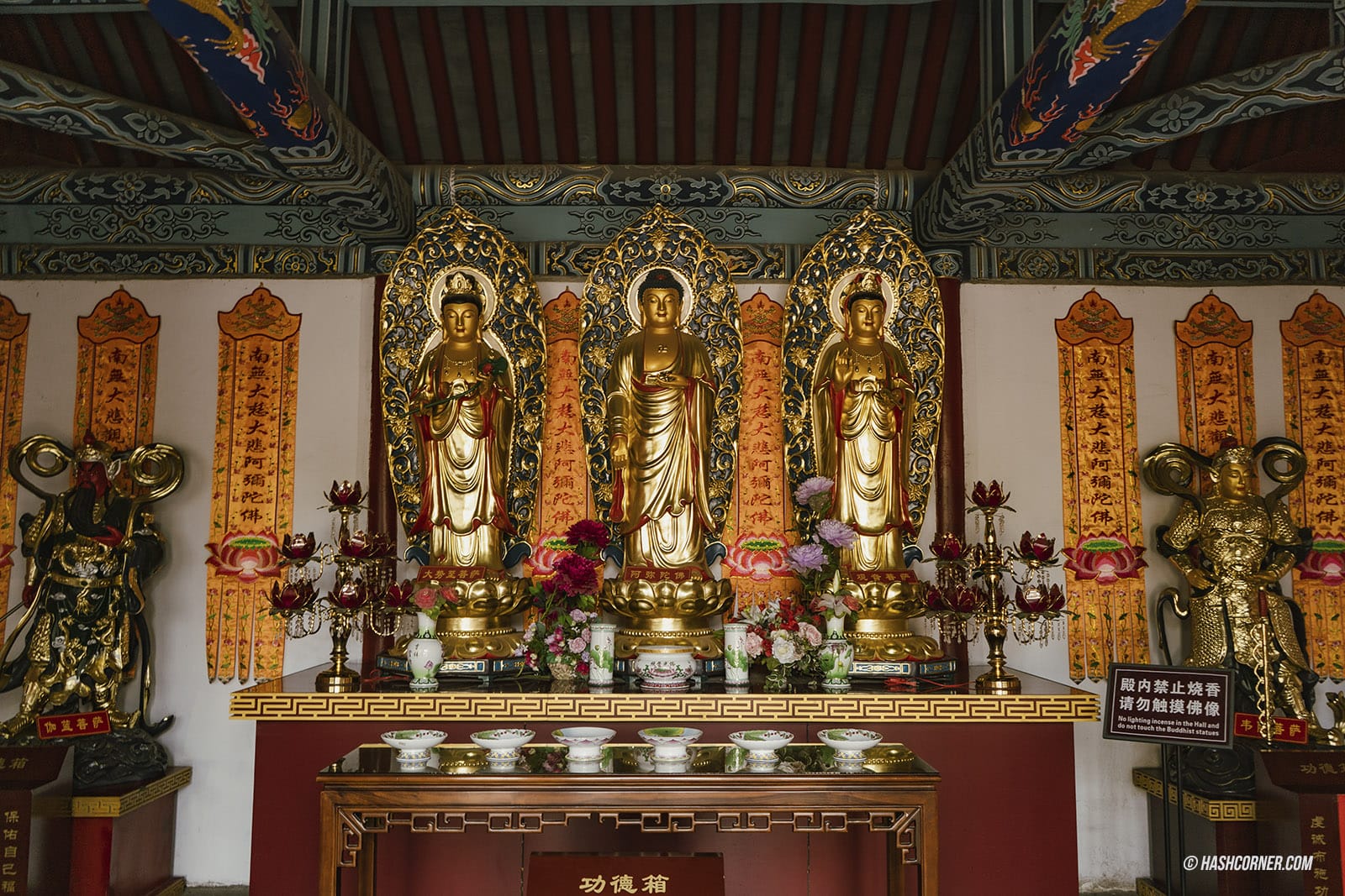 รีวิว ลั่วหยาง (Louyang) x จีน เที่ยวถ้ำหลงเหมินอลังๆ