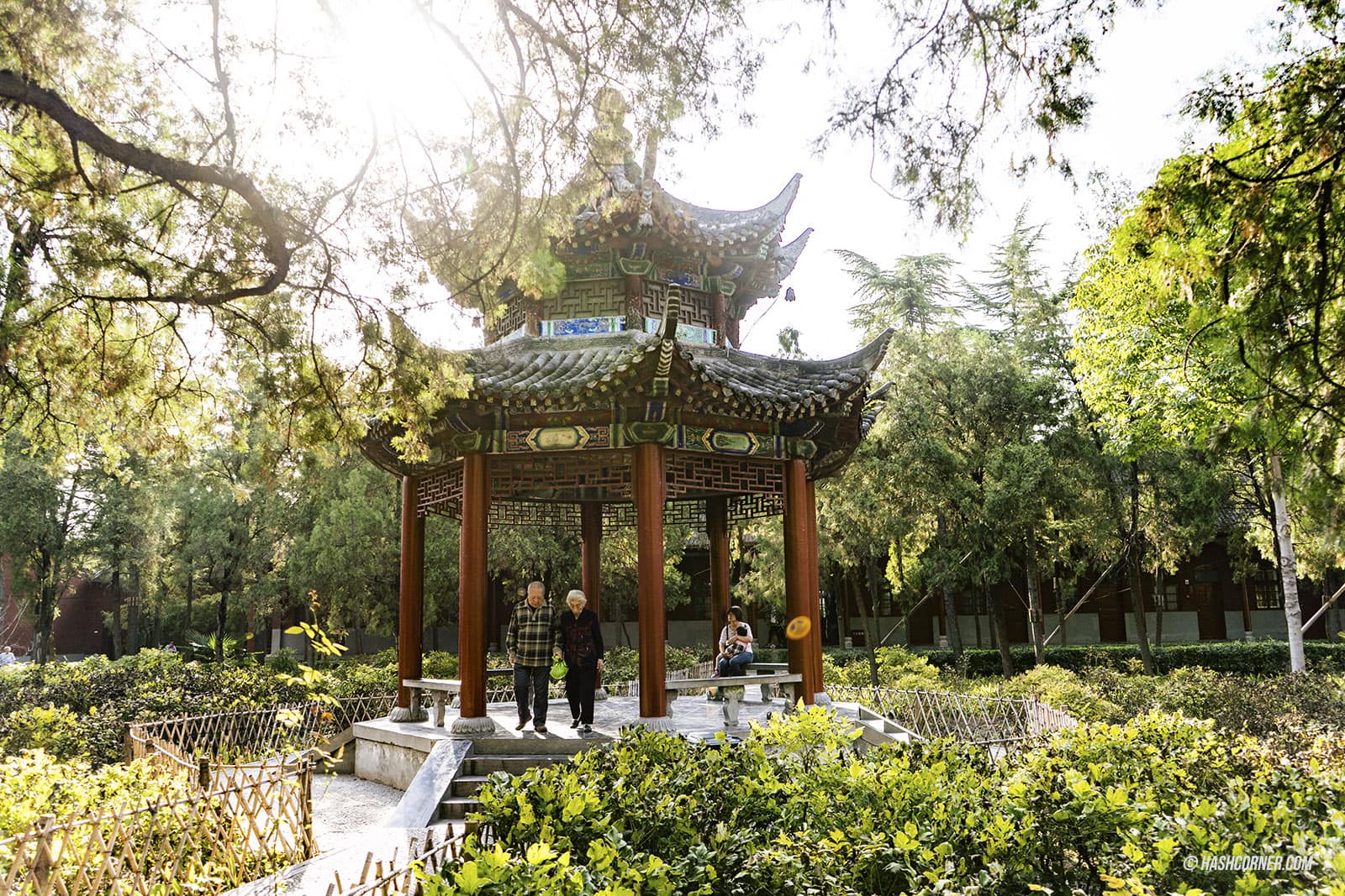 รีวิว ลั่วหยาง (Louyang) x จีน เที่ยวถ้ำหลงเหมินอลังๆ