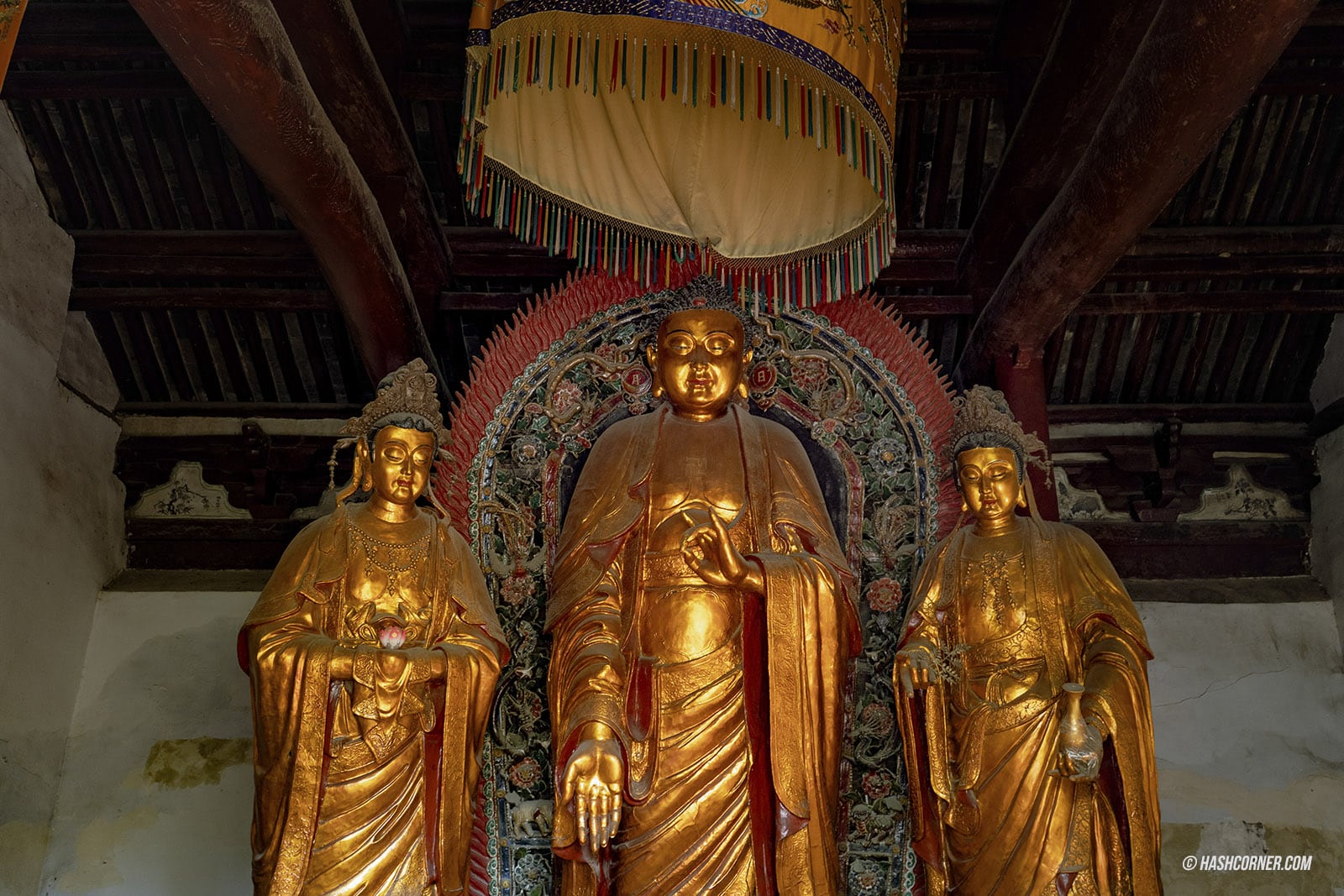 รีวิว ลั่วหยาง (Louyang) x จีน เที่ยวถ้ำหลงเหมินอลังๆ