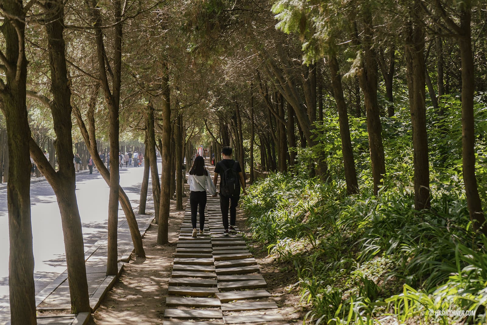 รีวิว ลั่วหยาง (Louyang) x จีน เที่ยวถ้ำหลงเหมินอลังๆ