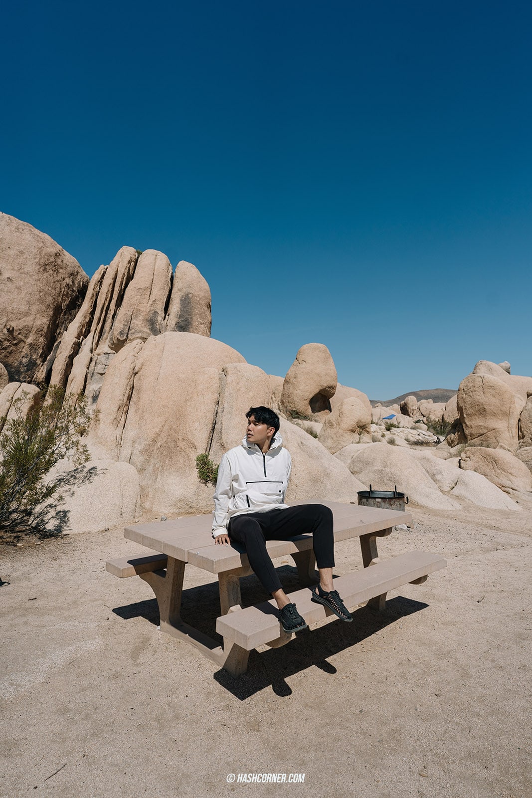 รีวิว Joshua Tree National Park x แคลิฟอร์เนีย อเมริกา