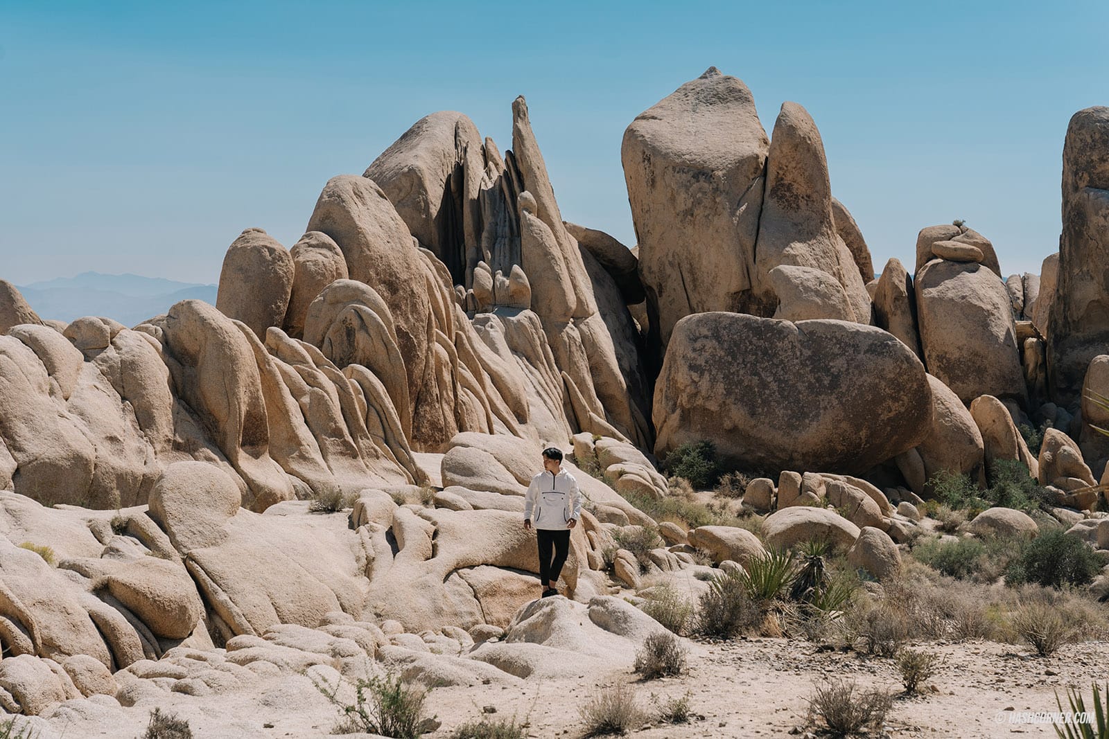 รีวิว Joshua Tree National Park x แคลิฟอร์เนีย อเมริกา