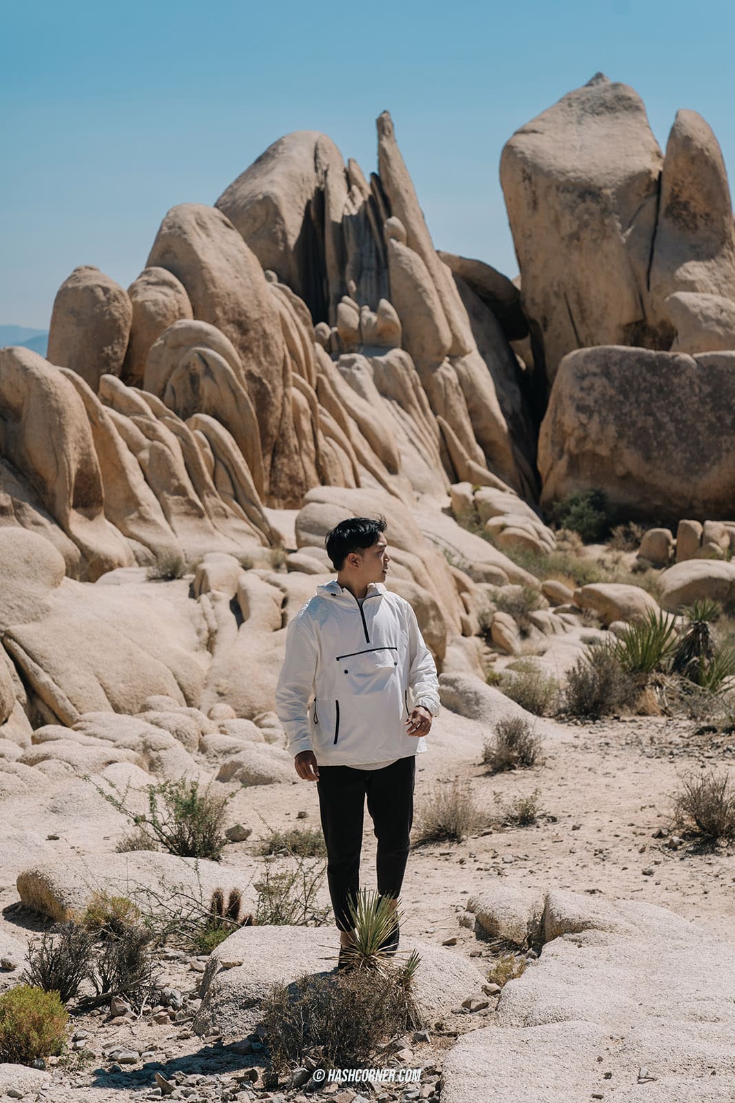 รีวิว Joshua Tree National Park x แคลิฟอร์เนีย อเมริกา