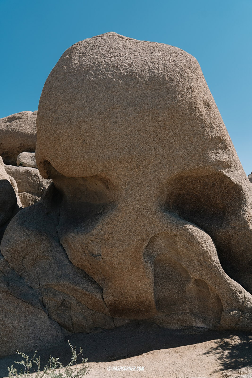 รีวิว Joshua Tree National Park x แคลิฟอร์เนีย อเมริกา