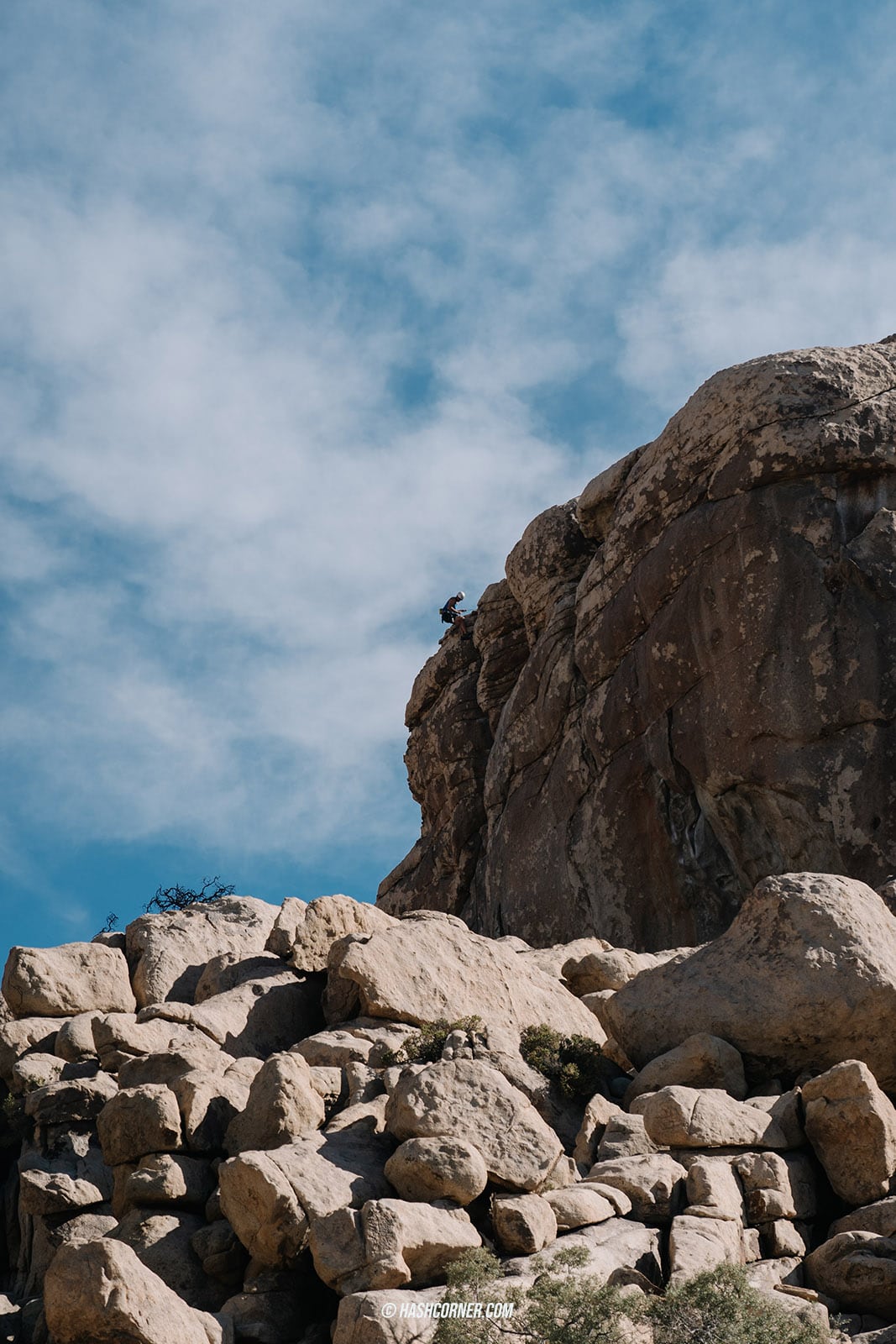 รีวิว Joshua Tree National Park x แคลิฟอร์เนีย อเมริกา