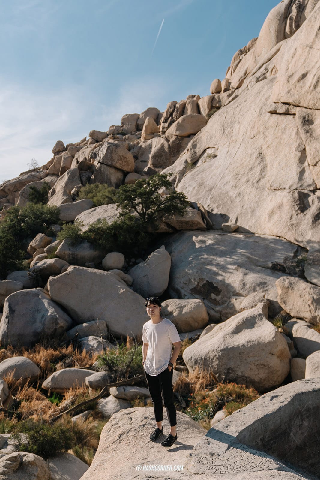 รีวิว Joshua Tree National Park x แคลิฟอร์เนีย อเมริกา