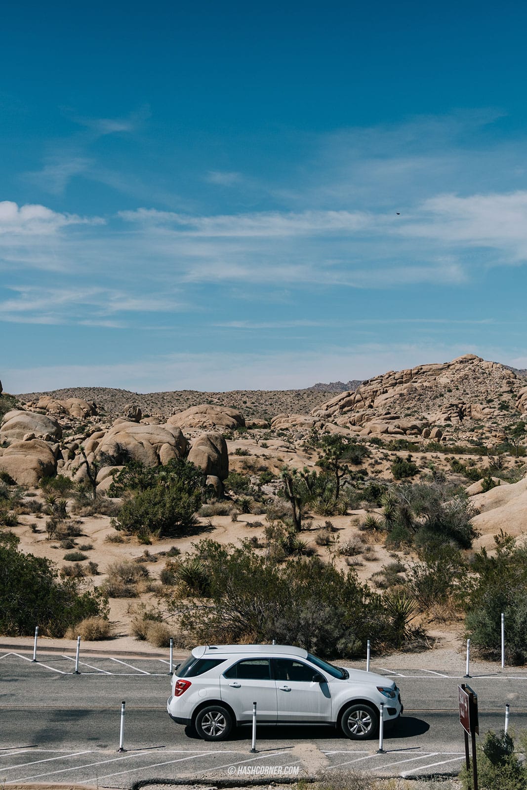 รีวิว Joshua Tree National Park x แคลิฟอร์เนีย อเมริกา