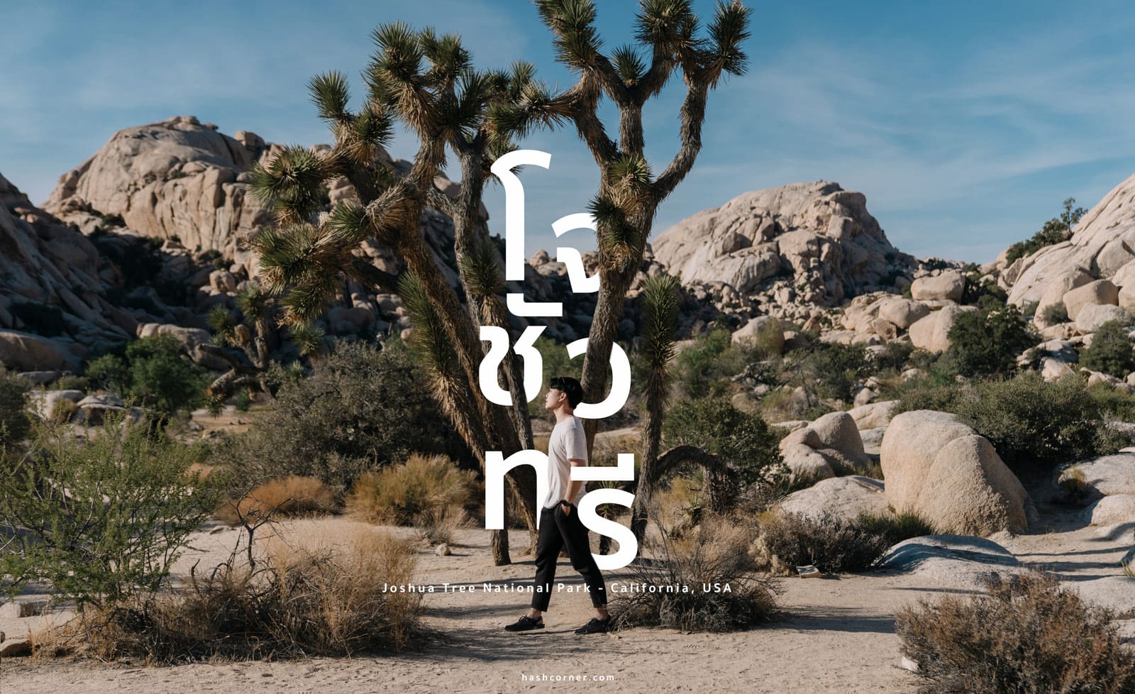 รีวิว Joshua Tree National Park x แคลิฟอร์เนีย อเมริกา