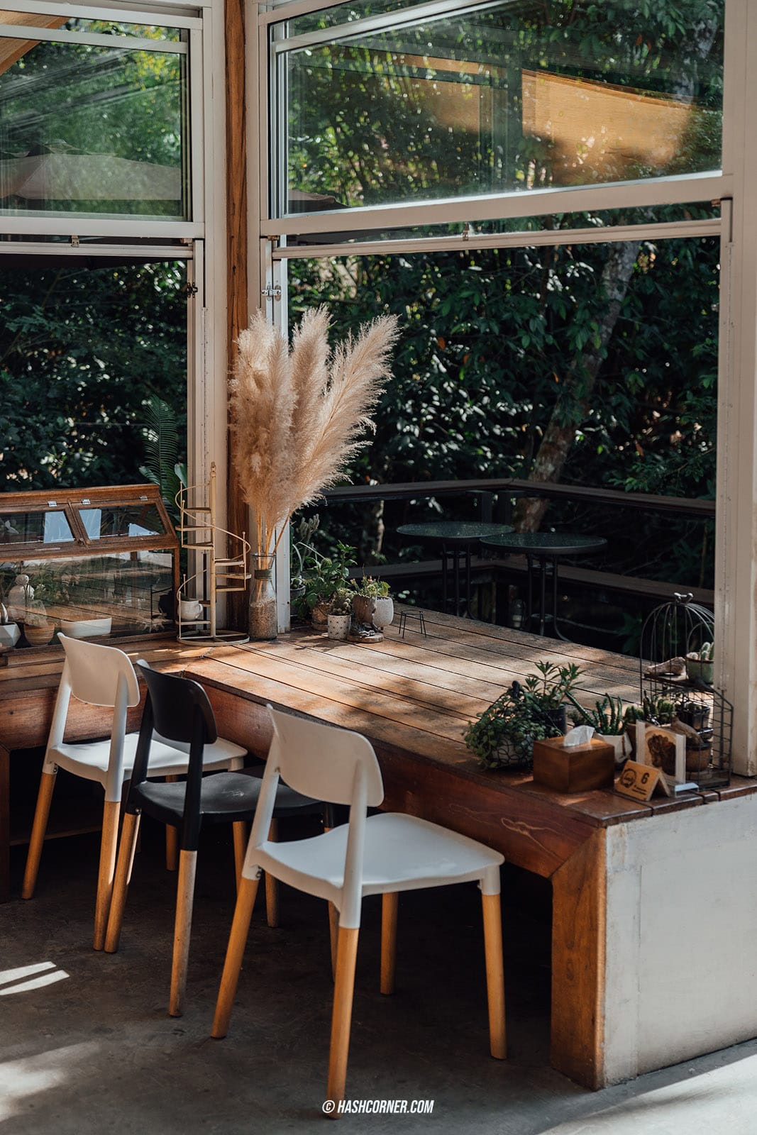 รีวิว ระนอง : 18 ที่เที่ยว-ที่พัก-คาเฟ่ เที่ยวครบทะเล-ภูเขา