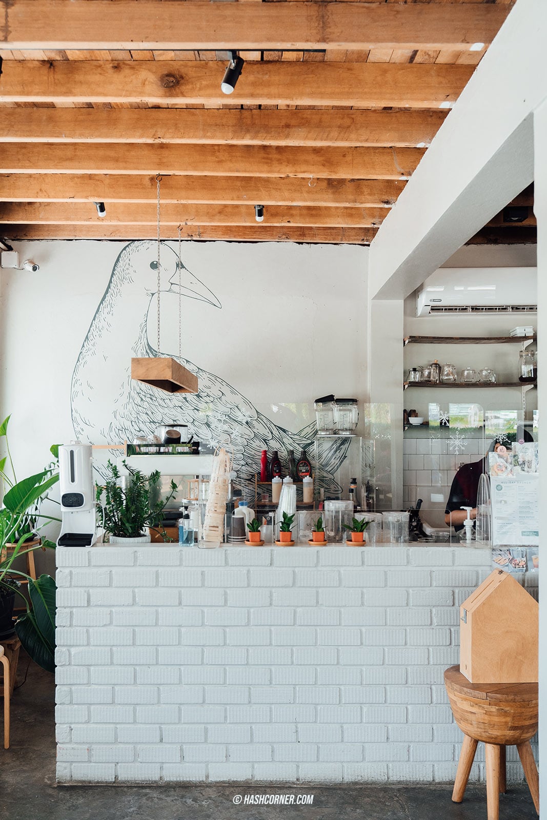 รีวิว ระนอง : 18 ที่เที่ยว-ที่พัก-คาเฟ่ เที่ยวครบทะเล-ภูเขา