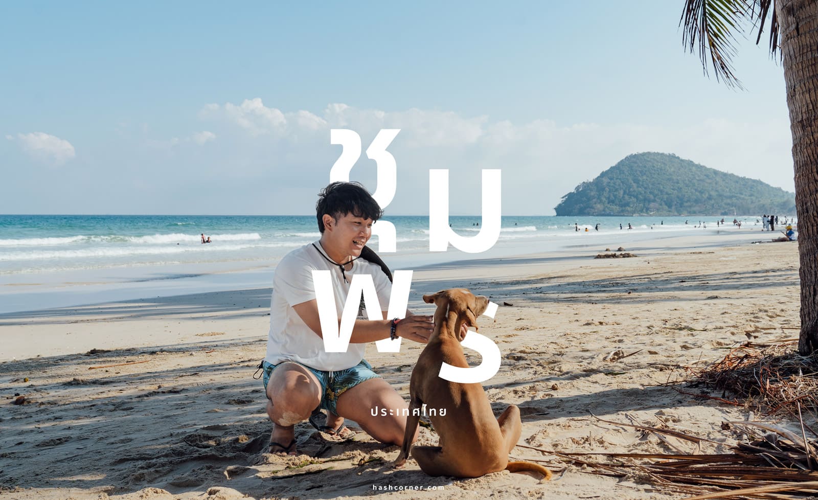 รีวิว ชุมพร : 13 ที่เที่ยว-ที่พัก-คาเฟ่ จัดเต็มแบบอันซีน