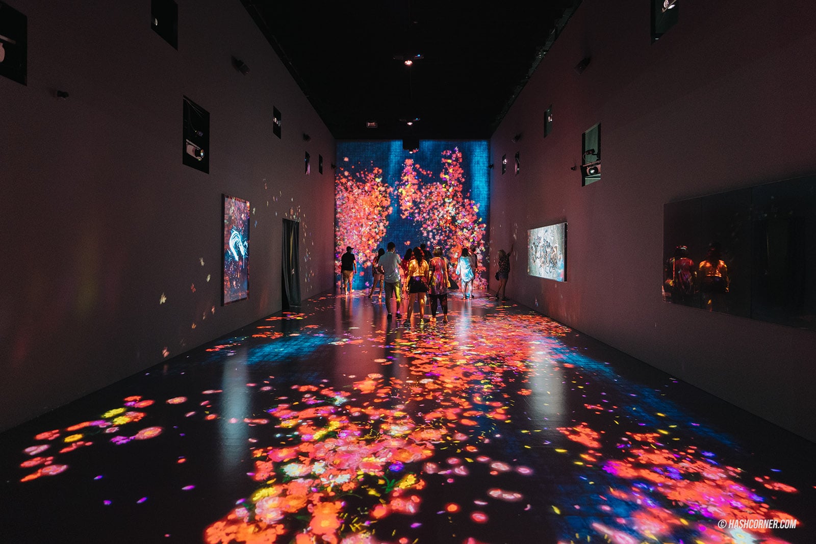 รีวิว ArtScience Museum x สิงคโปร์ ส่องงานล้ำๆ จาก TeamLab