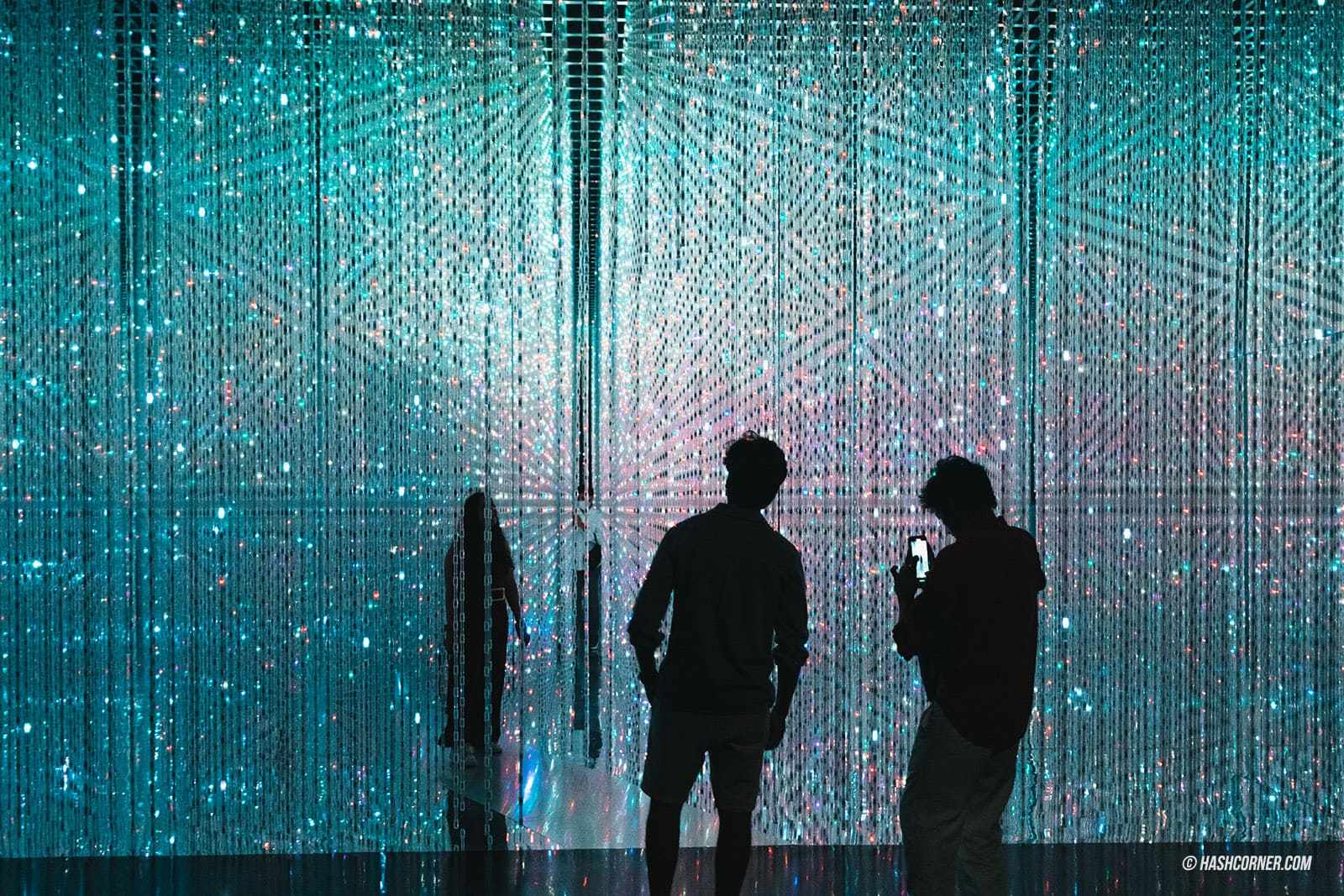 รีวิว ArtScience Museum x สิงคโปร์ ส่องงานล้ำๆ จาก TeamLab