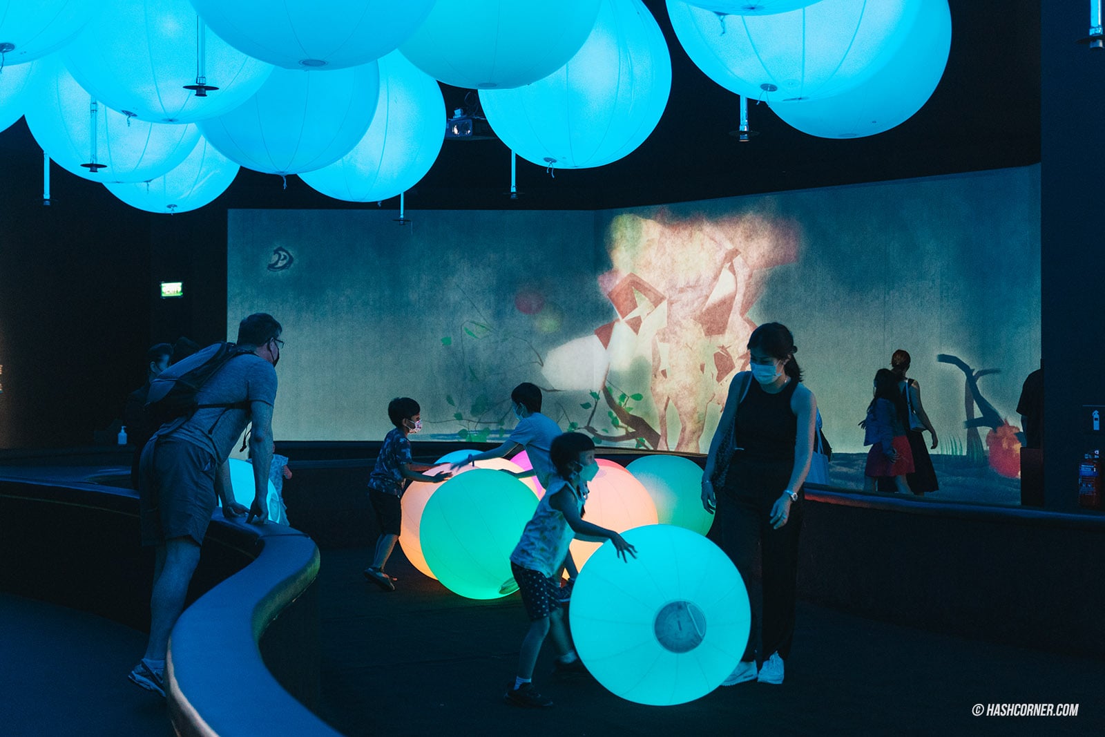 รีวิว ArtScience Museum x สิงคโปร์ ส่องงานล้ำๆ จาก TeamLab