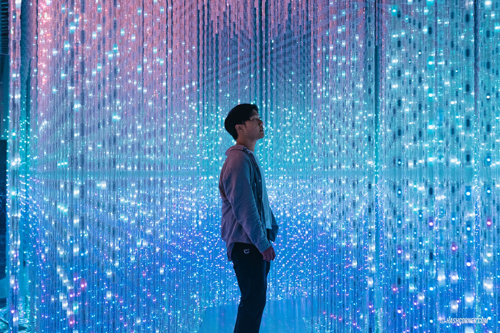 รีวิว ArtScience Museum x สิงคโปร์ ส่องงานล้ำๆ จาก TeamLab