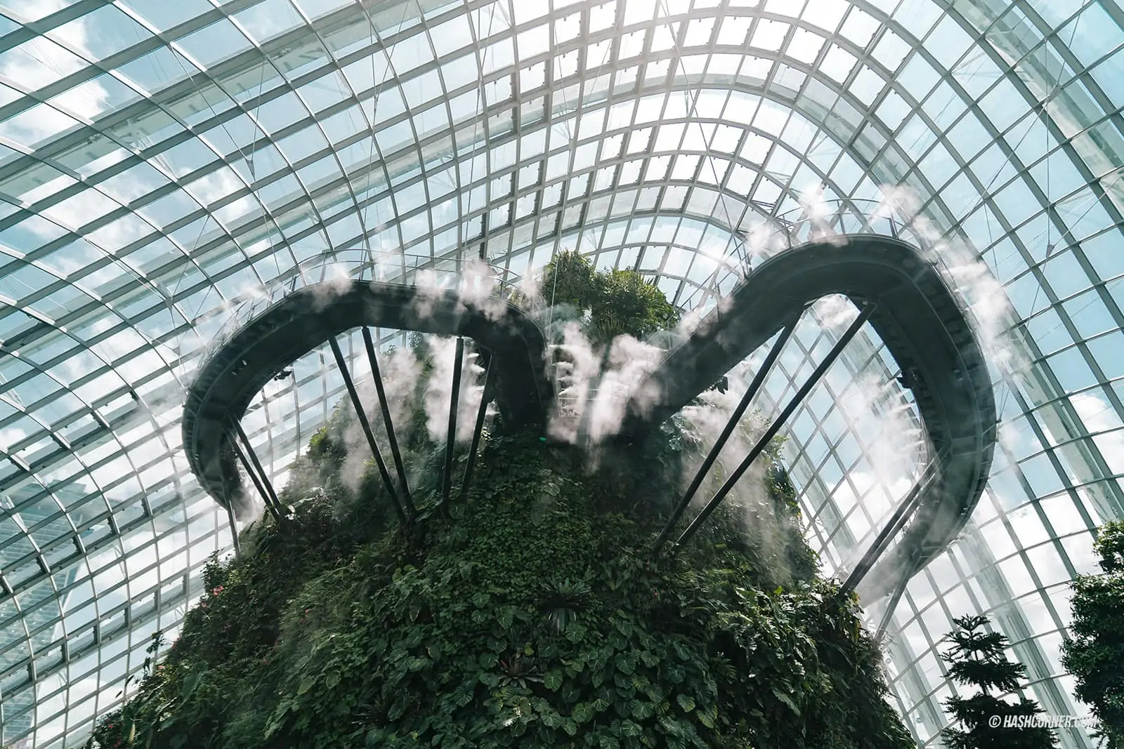 รีวิว Gardens By The Bay / Flower Dome และ Cloud Forest สิงคโปร์
