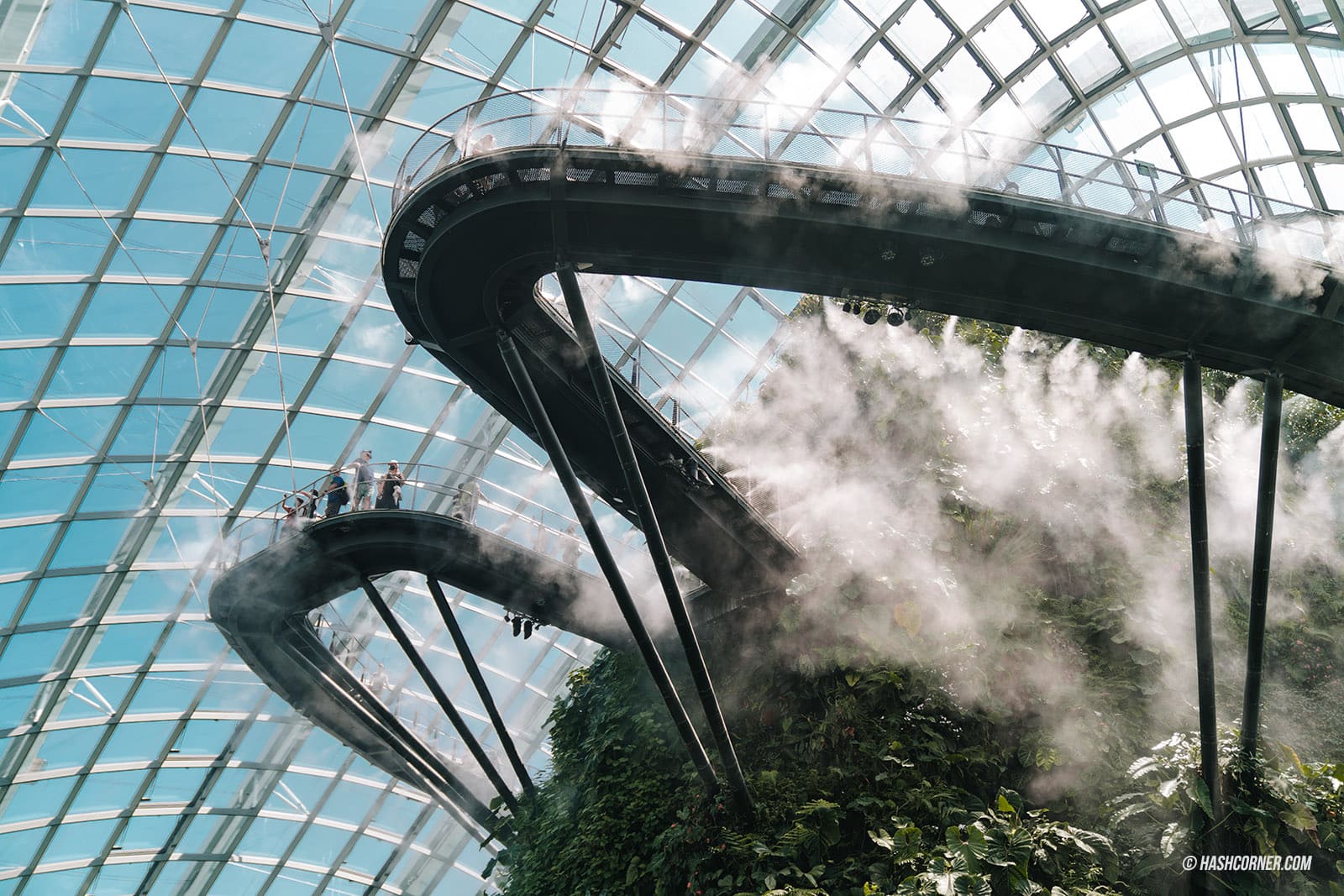 รีวิว Gardens By The Bay / Flower Dome และ Cloud Forest สิงคโปร์