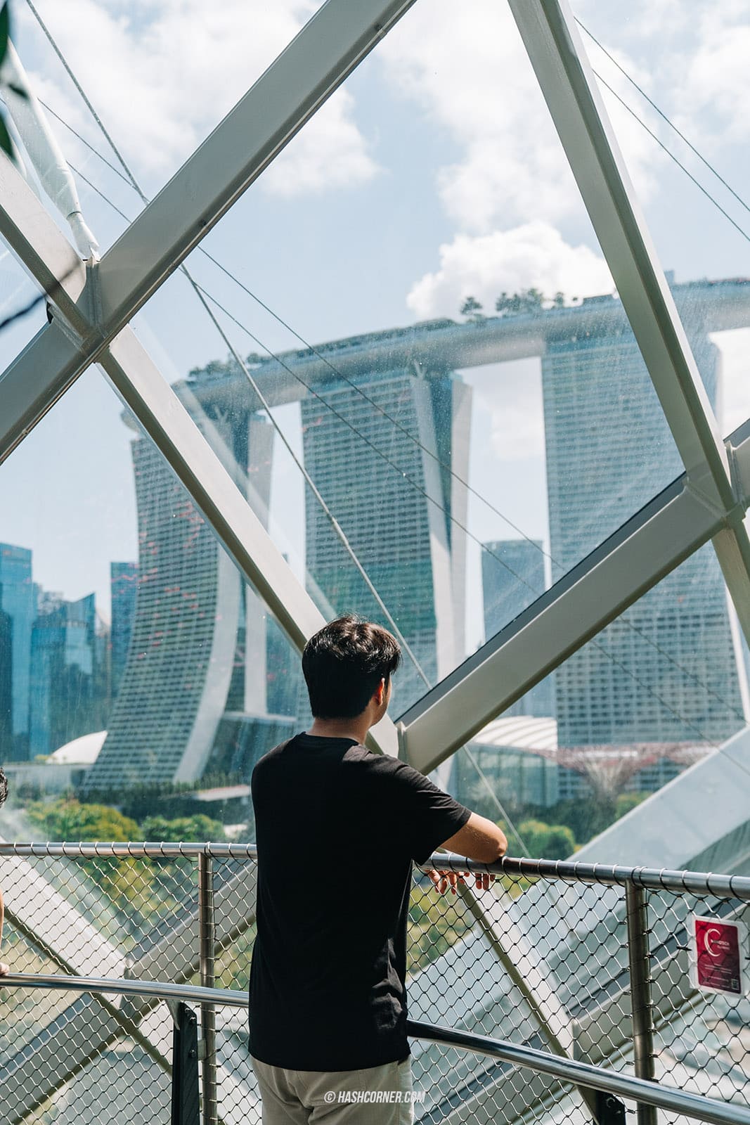 รีวิว Gardens By The Bay / Flower Dome และ Cloud Forest สิงคโปร์