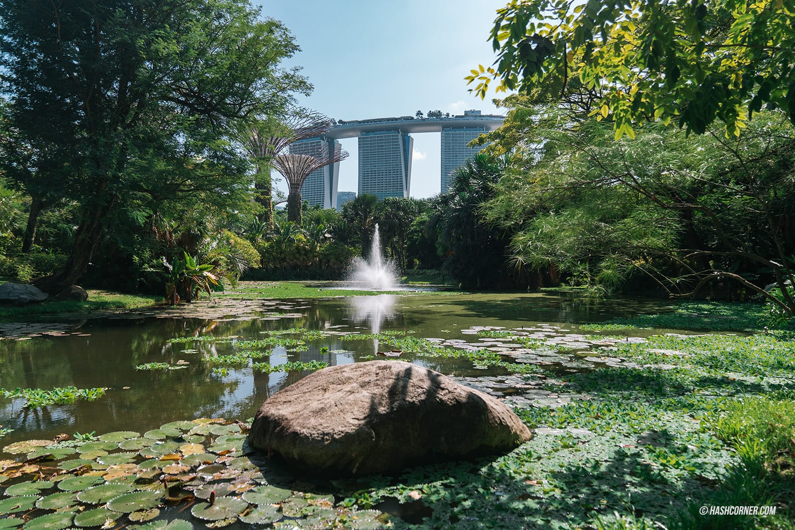 รีวิว Gardens By The Bay / Flower Dome และ Cloud Forest สิงคโปร์