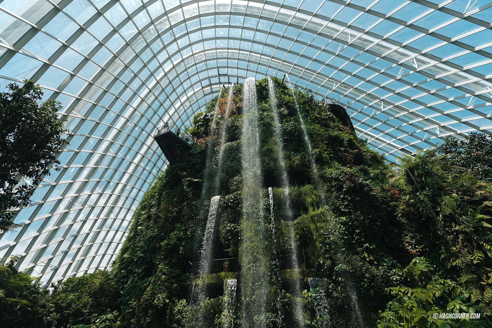 รีวิว Gardens By The Bay / Flower Dome และ Cloud Forest สิงคโปร์