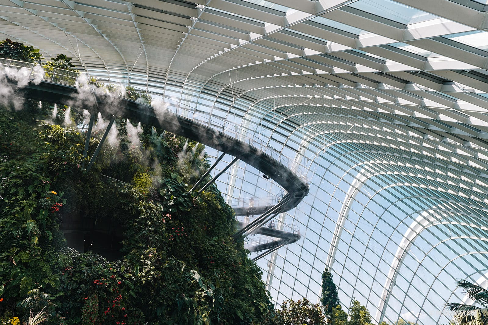 รีวิว Gardens By The Bay / Flower Dome และ Cloud Forest สิงคโปร์