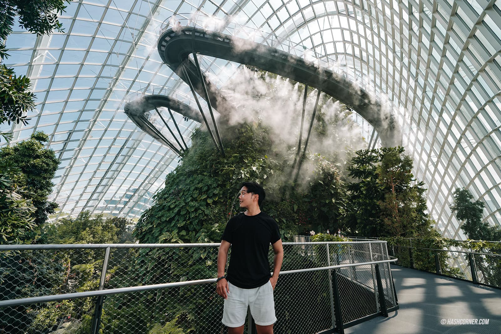 รีวิว Gardens By The Bay / Flower Dome และ Cloud Forest สิงคโปร์