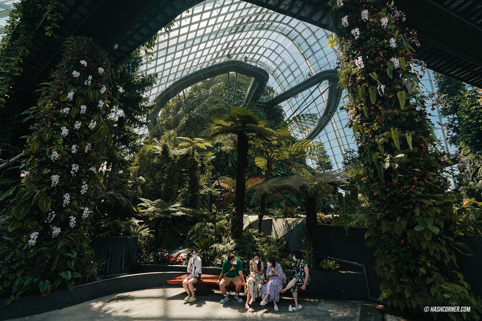 รีวิว Gardens By The Bay / Flower Dome และ Cloud Forest สิงคโปร์