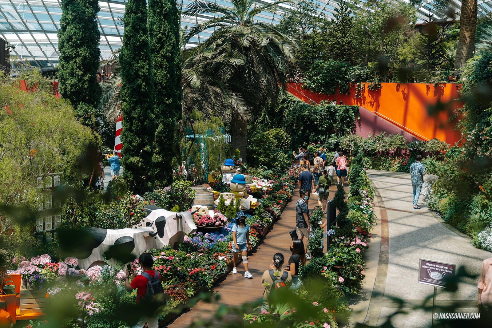 รีวิว Gardens By The Bay / Flower Dome และ Cloud Forest สิงคโปร์